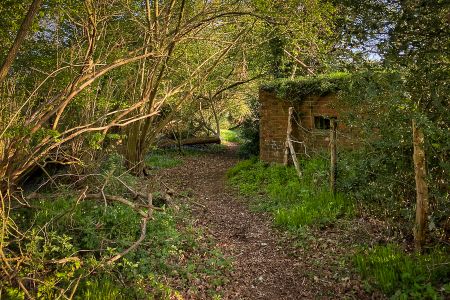 Looking back the way we'd come