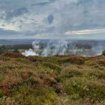 Burning the bracken