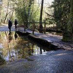 Recce on Frensham Common