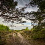 Coming out onto the heath