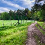 Just before Woolford's Lane
