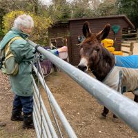 Carol with the donkey at the Donkey pub